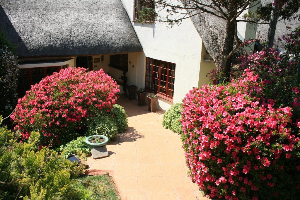 Thatchings Bed And Breakfast Nottingham Road Luaran gambar